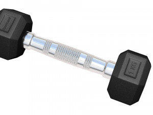 Dumbbell 3D 모델