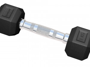 Dumbbell 3D 모델
