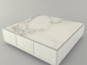 rigiano table 3Dモデル