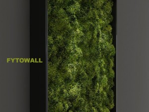 fytowall moss small Model 3D