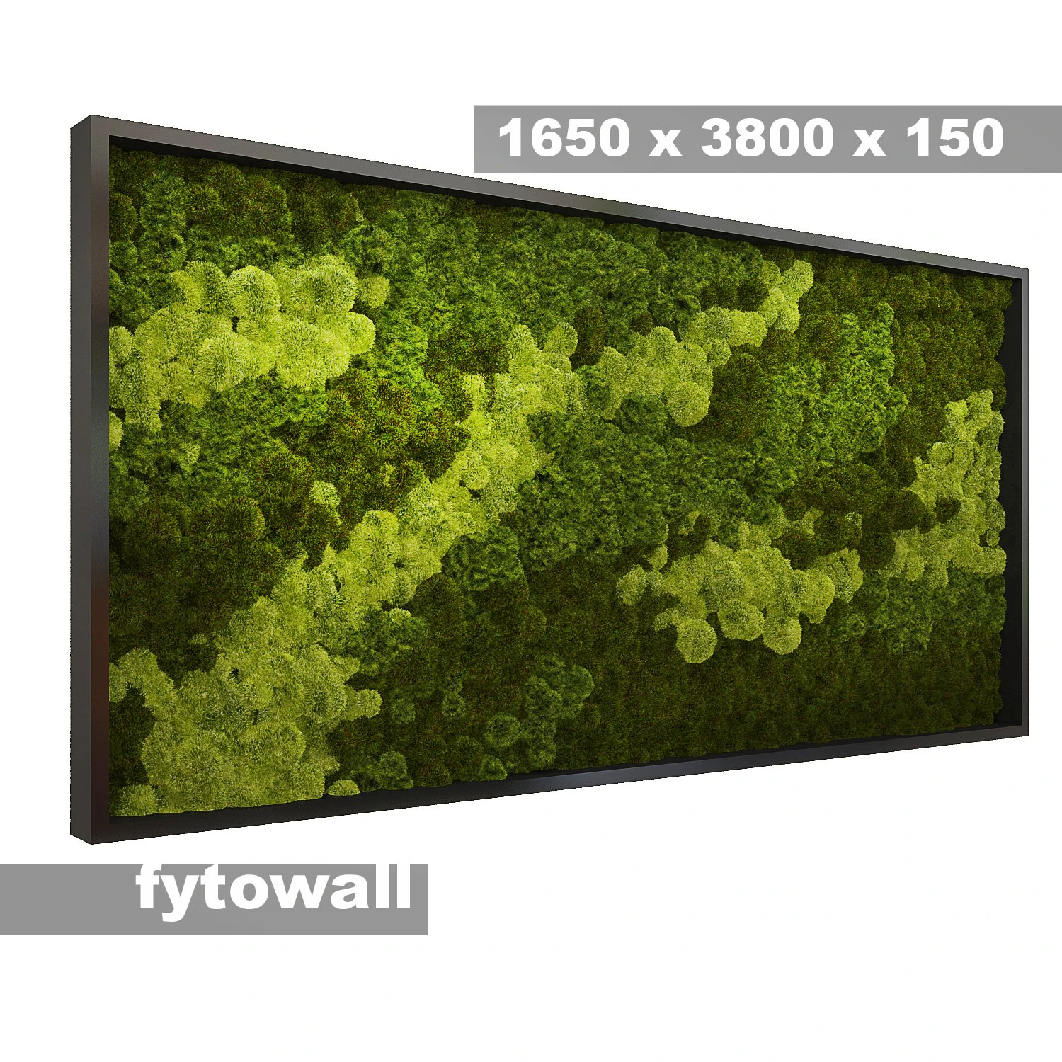 fytowall moss 3D Model .c4d .max .obj .3ds .fbx .stl .blend 