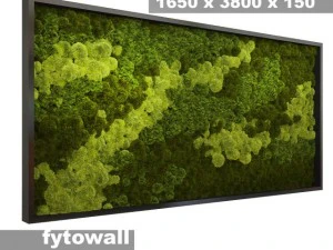 mousse fytowall Modèle 3D