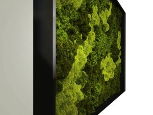 fytowall moss Model 3D