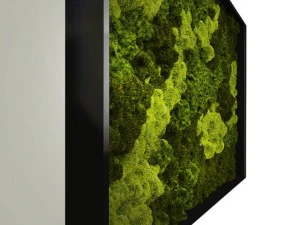 fytowall moss 3D Model