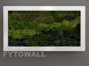 fytowall moss and stone 3D 模型