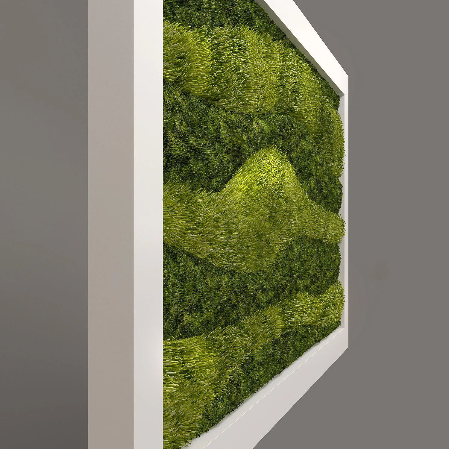fytowall moss and grass 3D Model .c4d .max .obj .3ds .fbx .stl .blend