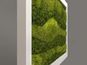 fytowall 이끼와 풀 3D 모델