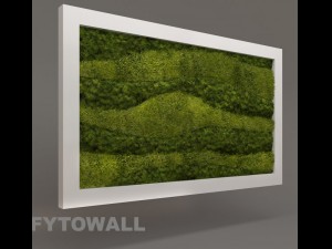 fytowall moss and grass 3D Model
