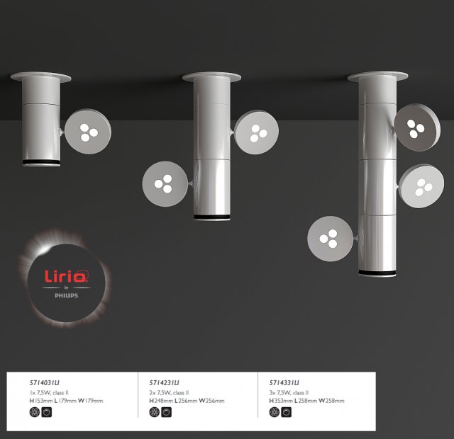 lirio Modello 3D .c4d .max .obj .3ds .fbx .stl .blend 