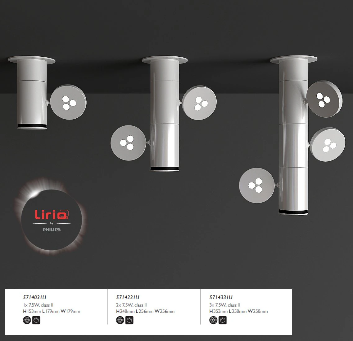 lirio 3D Model .c4d .max .obj .3ds .fbx .stl .blend 