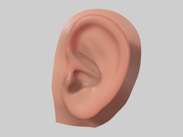 ear 3D Модель .c4d .max .obj .3ds .fbx .stl .blend 