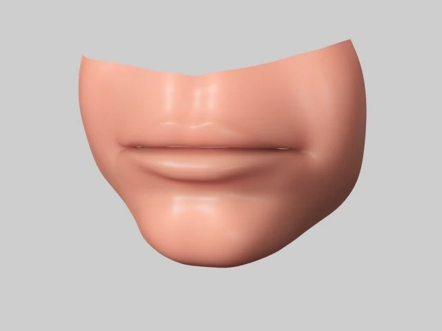 lip 3D Model .c4d .max .obj .3ds .fbx .stl .blend 