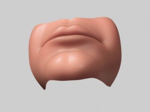 lip Model 3D