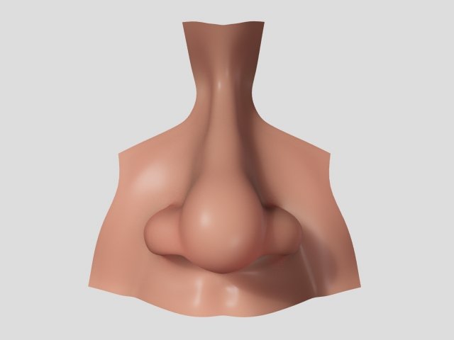 nose 3D Model .c4d .max .obj .3ds .fbx .stl .blend