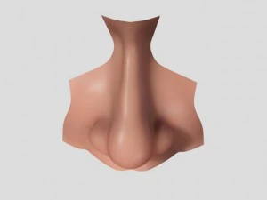 nose 3D Model