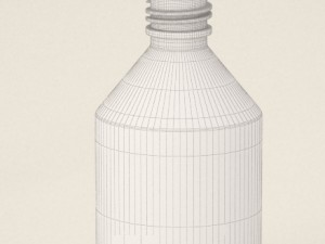bottle 3D Model