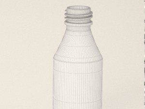 bottle 3D Model
