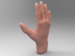 hand 3D Model
