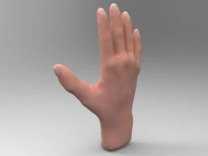 tangan Model 3D