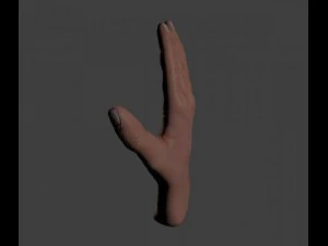 hand 3D Model