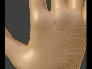 hand 3D Model