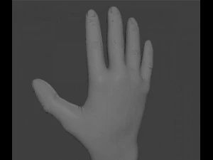 hand 3D Model