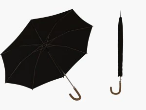 parapluie &eacute;l&eacute;gant Modèle 3D
