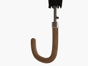 elegant umbrella Modelo 3D