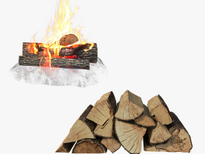 Split Fire wood logs 3D Model