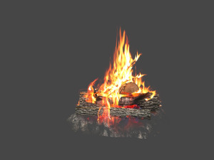 Split Fire wood logs 3D 模型