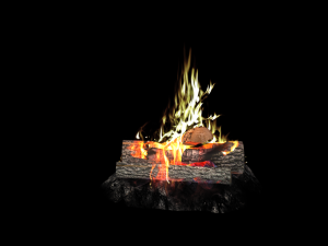 Split Fire wood logs 3D 模型
