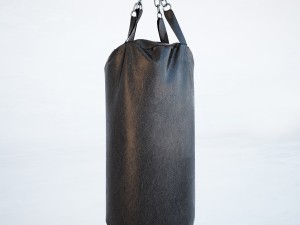 punching bag Modello 3D