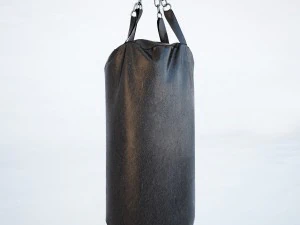 punching bag 3D Model