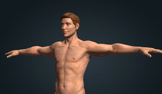 white male realistic 3D Model .c4d .max .obj .3ds .fbx .stl .blend 
