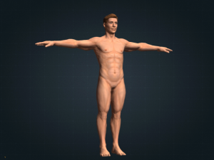 white male realistic 3D Model