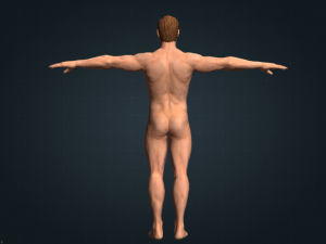 white male realistic 3D Model