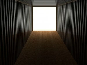 shipping container msc 3D Model