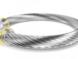 twisted bracelet 3D मॉडल