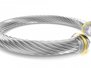 twisted bracelet 3D मॉडल