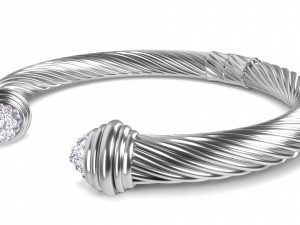 twisted bracelet 2 Modèle 3D