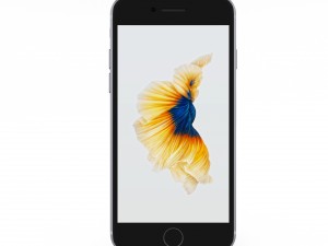 iphone 7 pack 3D Model