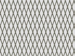 open lattice plate 3D Model