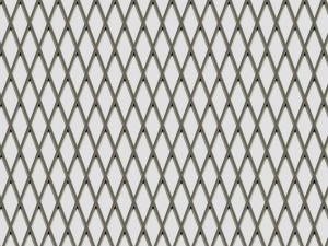 open lattice plate 3D Model