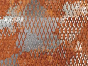 weathered lattice plate 3D Модель