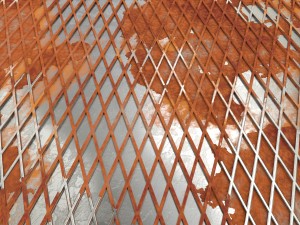 weathered lattice plate 3D Модель