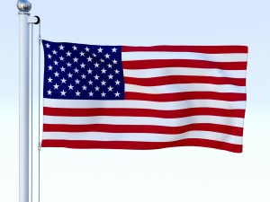 animated us flag 3D Model