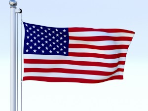 animated us flag 3D Model