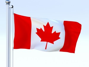 animated canadian flag 3D Model