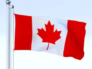 animated canadian flag 3D Model
