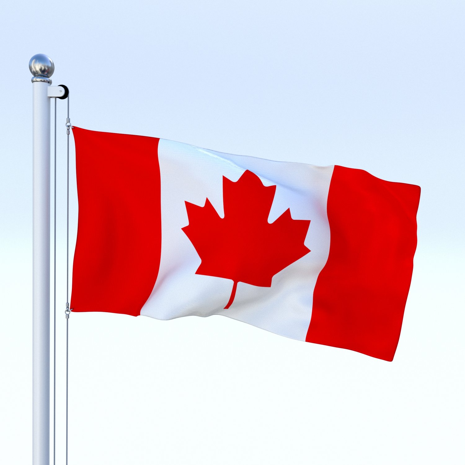Animated Canadian Flag 3D Model in Decoration 3DExport